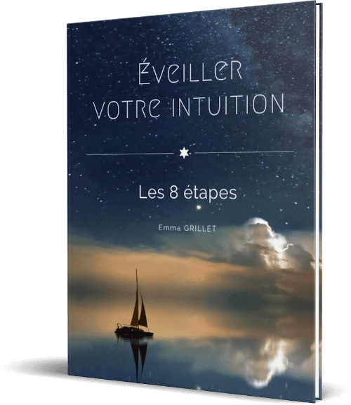 ebook-intuition-couverture-livre-500x577.png